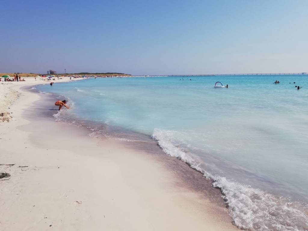 spiagge di Rosignano Marittimo